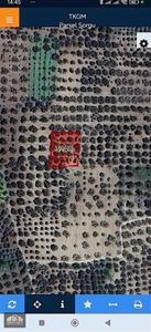 Akhisar Süleymanlı Mh.1340 M2.müstakil Tapulu Zeytinlik Satılıkt