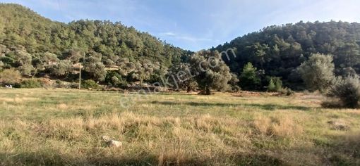 Bodrum Yalıçiftlik 4932 M2 Turizm İmarlı Arsa