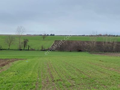 Sahibinden Tekirdağ Pınarbaşında 1530 M² Tek Tapu Tarla