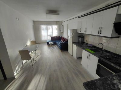 Sahibinden Aybü'ye Yakın, Full Eşyalı, Sıfır Ayarında 1+1 Taşınmaya Hazır