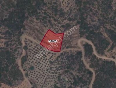 Alanya Çamlıca Yanıkdam Da Satılık 1856 M2 Tarla