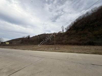 Trabzon Araklı Taşönü Mahallesi 4.883 M2 Satılık Ticari Arsa