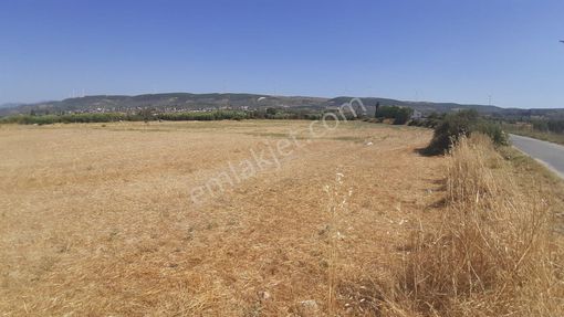 🌿 Dıdım Akköy Mahallesinde Göl Manzaralı Satılık Tarla 🌿