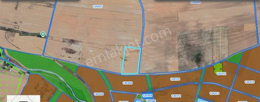 Alaçatıdan Gökçehöyükte/tek Tapu/31.347 M2/kadastral Yola Cephe