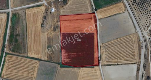 Foça Gerenköy'de Yol Kenarında Satılık 4731 M2 Tarla