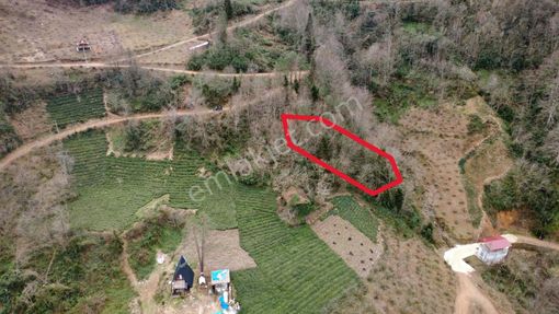 Trabzon Of'ta Satılık Arazi