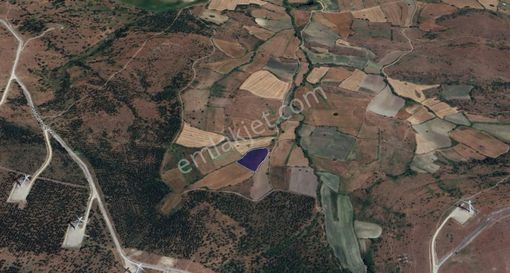 Cb King'den Balıkesir/kürse Mahallesi 6935m² Satılık Tarla