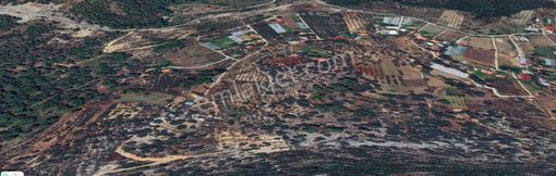 Goldhouse Dan Satılık Dalaman Da 802 M2 Tarla