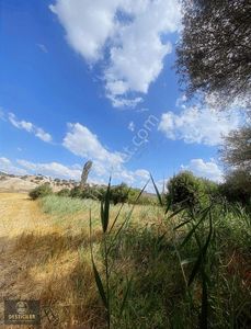 As-desticiler'den Yeni Sofça Da Yatırımlık Tarla