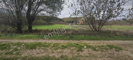 Evsane Manzara Müstakil Tapu