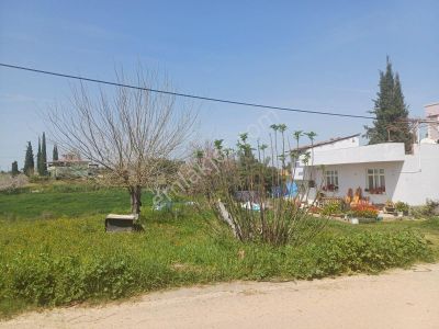 Kozan Yolu Mustafalar Köy İçi Satılık