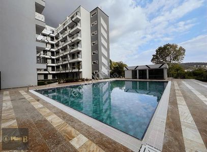 Yelkent Alfa Rezidansta Hazır Kiracılı, Yatırımcılara Özel 1+1