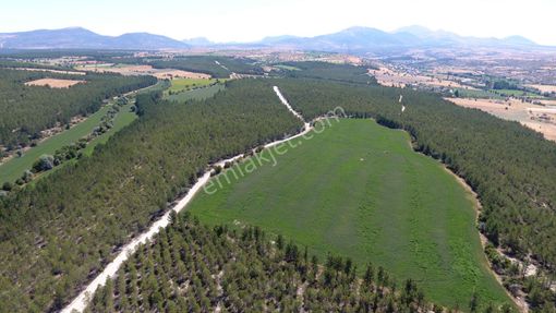 Doğanbey Anayola Cephe Kıymetli Arazi !