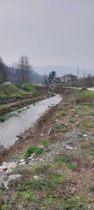 Yaşam Emlak Tan Satılık Bağ Bahçe