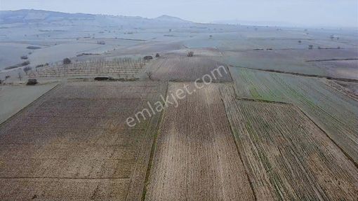 Altıeylül Paşaköyde 52 Dönüm Katma Değeri Yüksek Satılık Arazi