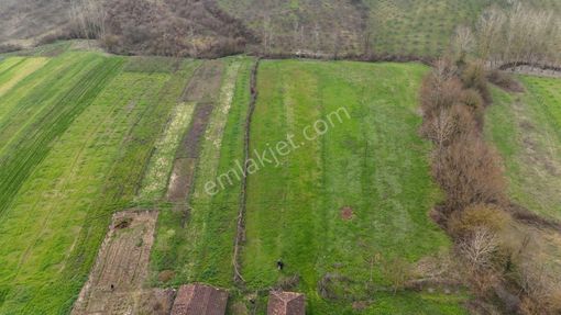 Altın Emlak'tan İzmit Şahinler Köyünde Satılık Tarla
