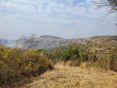 Remax Leon Kestel Çataltepede Satılık Manzaralı 627 M2 Zeytinlik