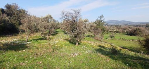 Milas Söğütcükte Yola Cepheli 847 M² Fırsat Parseller