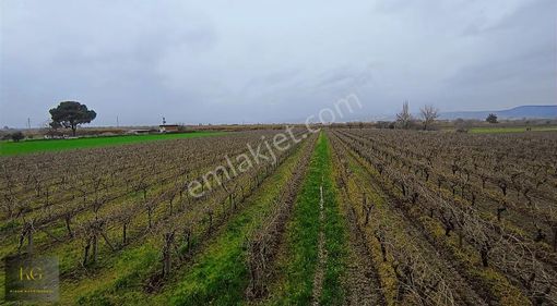 Maraşel Fevzi Çakmak Mah Satılık 7.799 M² Elektrik Suyu Olan Bağ