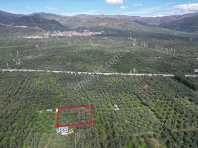 Bursa Orhangazi Çakırlı Mahallesi Satılık Hobi Bahçesi