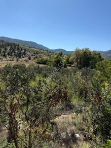 Bolkar'dan Mersin Toroslar Arslanköyde Kaçırılmayacak Fırsat