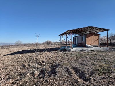 Baklan Gürlük'te 5381 M² Ceviz Bahçesi - Tarla & Yatırım Fırsatı