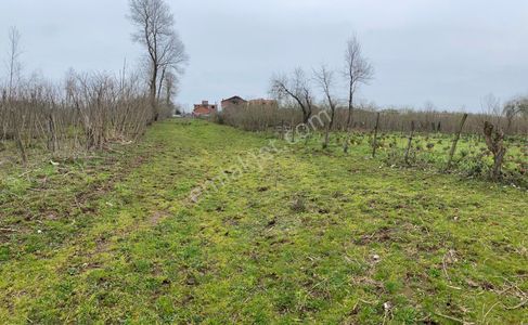 Sahibinden Terme/evci/miliç Satılık Arsa