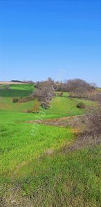 Emlakyap Tan Silivri Bekirli De Satılık Tarla