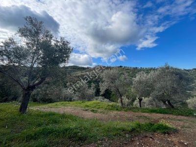 Seferihisar Gödence Satılık 7975 M2 Yatırımlık Bedava Tarla