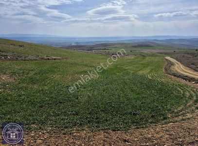 Özgü'den Eskişehir'de Güneş Enerji Santrali Yapımına Uygun Tarla