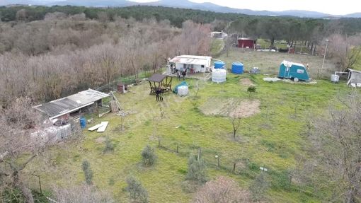 Çanakkale Biga Bahçeli Köyünde 1.115 M2 Bağ