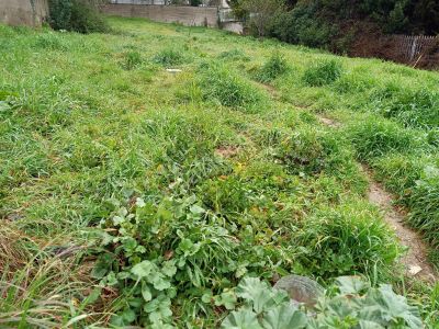 Çengelköy Realist'den 300m2 Güzeltepe Mahallesinde Arsa