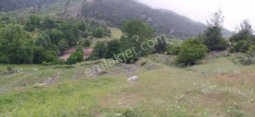 Mersin Mezitli Fındıkpınarı Yaylası'nda Çok Amaçlı Kullanılabilir Tarım Arazisi
