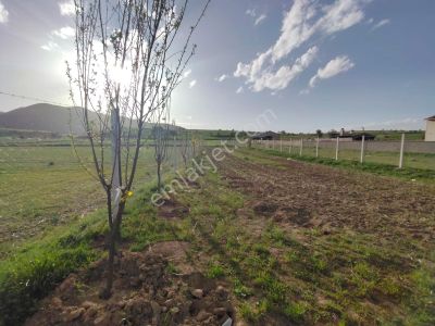Talas Yazıyurdu Mahallesinde Yol Kenarı 740 M² Tel Örgülü Tarla