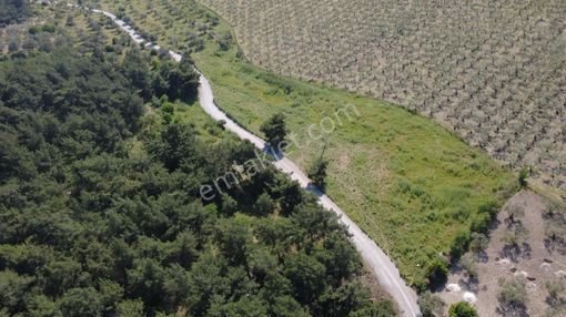Yola Cephe 7000m2 Tek Tapu Arsa