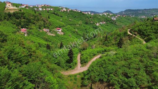 Trabzon Arsin'de Satılık Arazi
