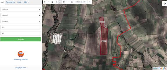 Paşaköy'de 45.200 M2 Satılık Tarla 1