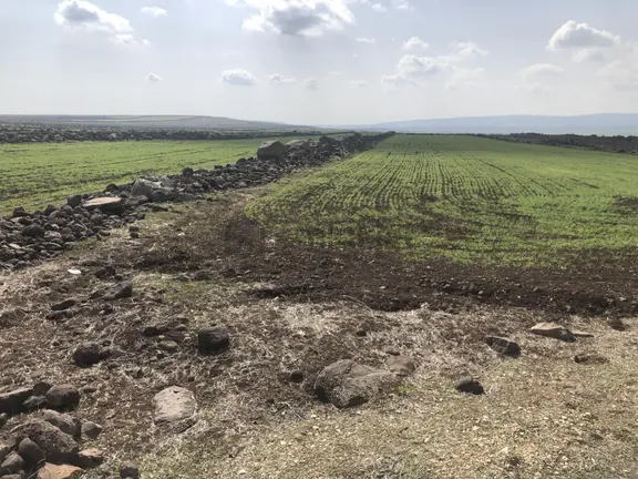 Sami Bakır'dan Beysekide Polateli Osb Ve Sarıt İmarının Yanı Arazi 1
