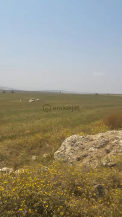 Satılık Tarla Eskişehir 1