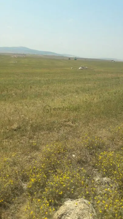 Satılık Tarla Eskişehir 2