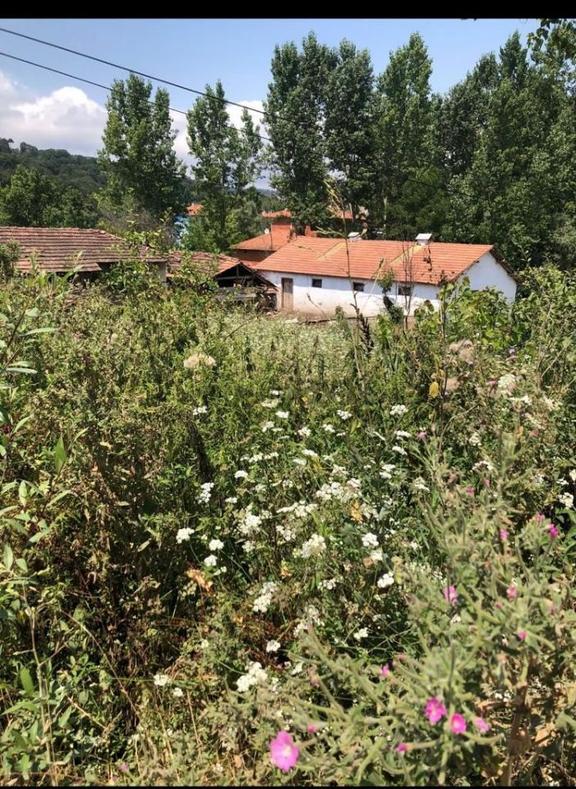 Balıkesir Dursunbey Kavacık Mahallenin De 221 Mt İmarlı Arsa 2