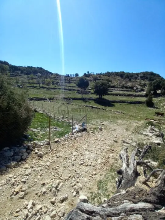 Fethiye Karaağacta 640m2 Satılık Arazı Yolu Var Su Elektrik Yakin 1