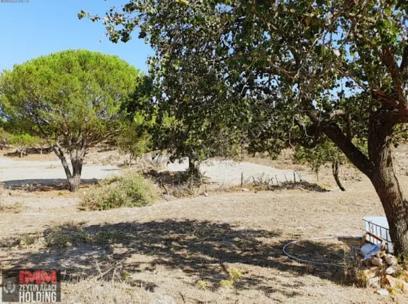 Sahibinden 11.118 M2 Kadostrol Yol, Su Ve Elektrik Var 1