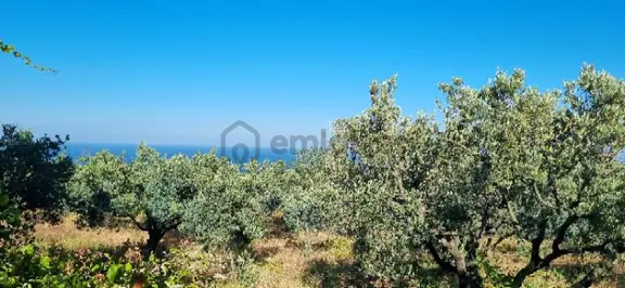 Deniz Manzaralı 1