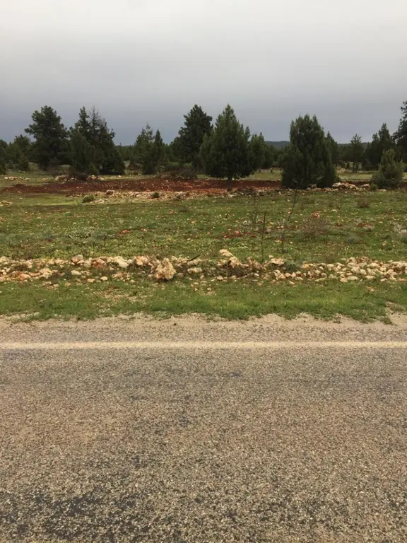Yaylalık Güneyli Mah 620 M2 Asfalt Yola Sıfır Tarla Erdemli 2