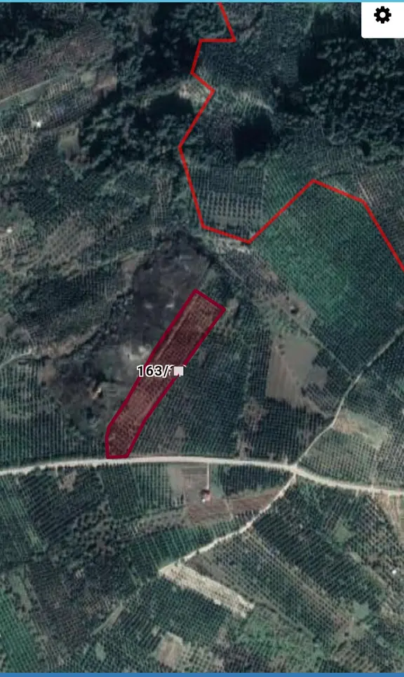 Ena Group Bursa Mudanya Çepni'de Asfalta Cephe 14443 M2 Bahçe 1