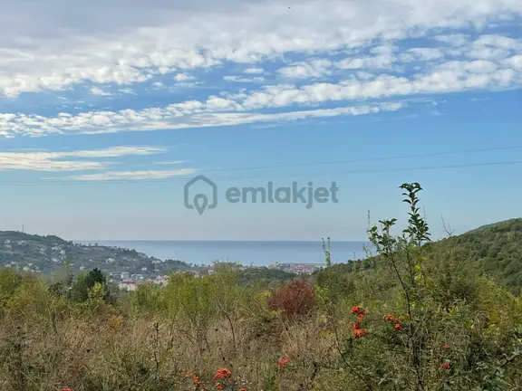 Cide Demirtaş Emlak Güvencesi İle Satılık Tarla 1