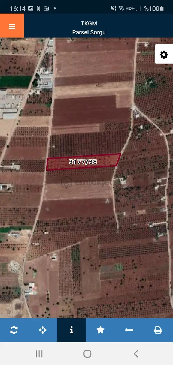 Savaş Gayrimenkul Den Satılık Zeytinlik 2