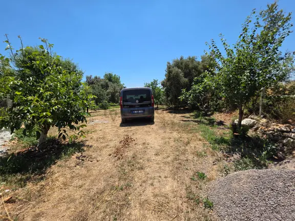 Silifke Sömek'te 5850 M² Verimli Satılık Bağ & Bahçe 2