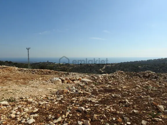 Narlıkuyu Hasanaliler De Deniz Ve Kale Manzaralı Satılık 1400 M2 Tarla!!! 2